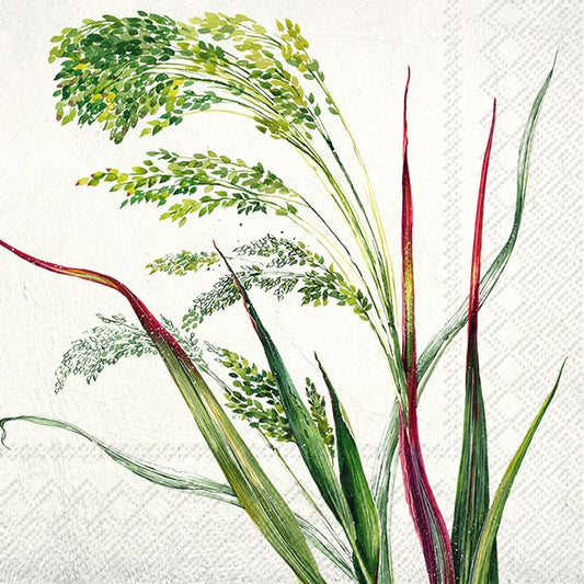 IHR Paper Napkins Willa Cream Pack/20 6.5x6.5"