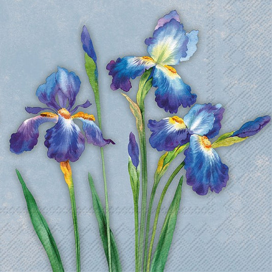 IHR Paper Napkins Insa Blue Pack/20 6.5x6.5"