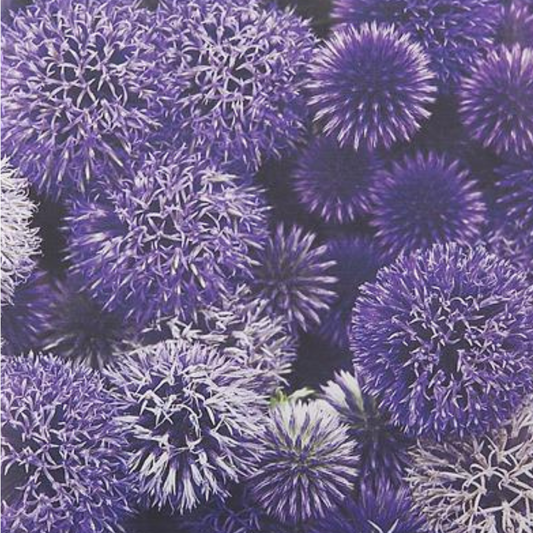 Paper Napkins Global Thistle Pack/20 6.5x6.5"